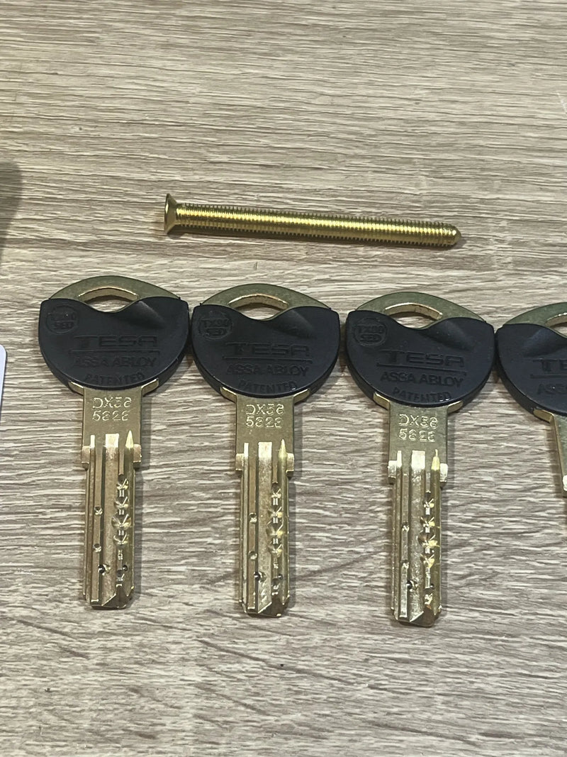 Cilindro de Alta Seguridad Tesa Assa Abloy