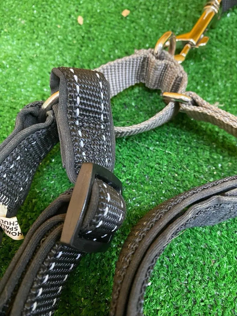 PetSafe 3 en 1, Arnés Antitirones para Perros