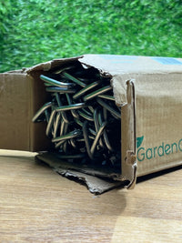 Grapas de Sujeción de Acero Galvanizado GardenGloss