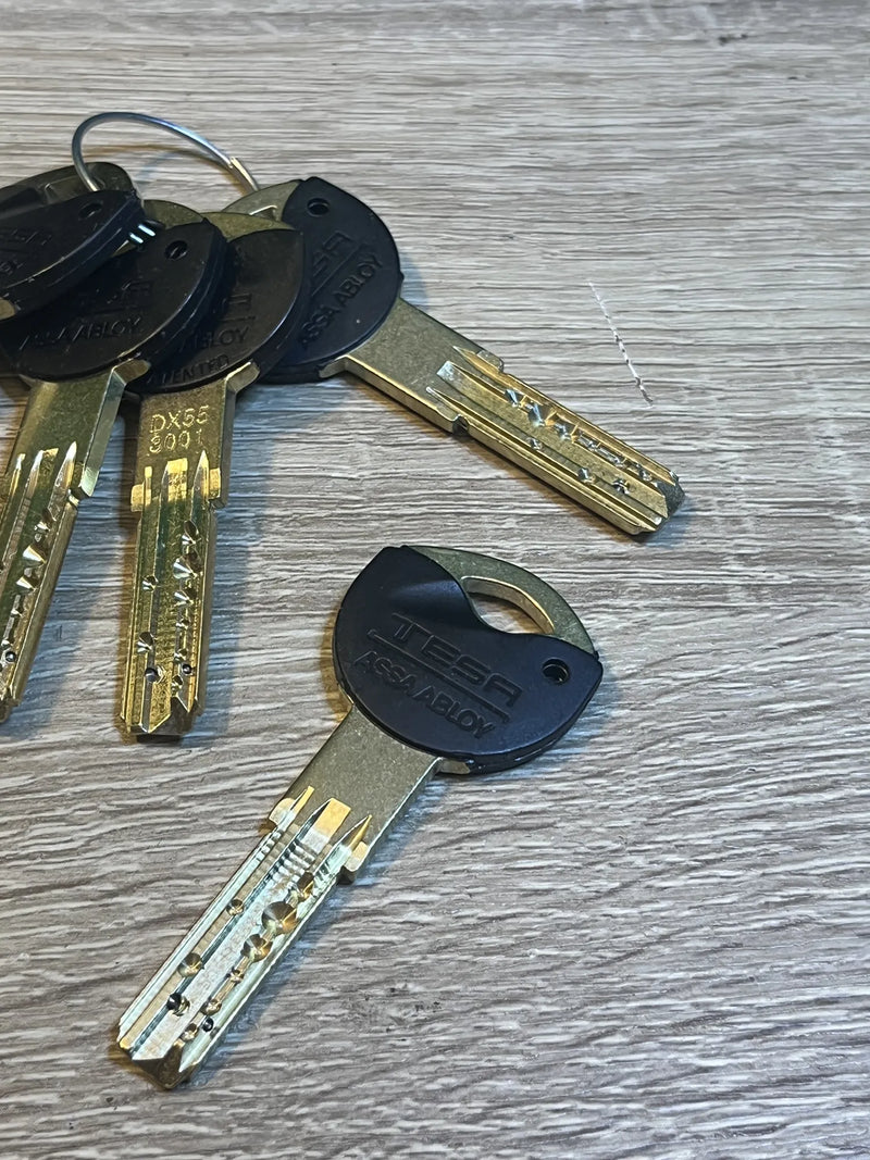 Cilindro de Alta Seguridad Tesa Assa Abloy
