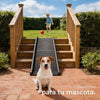 Rampa para mascotas negra