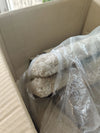 Torre multinivel para gatos con postes - Amazon basics