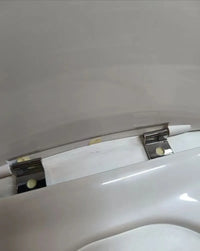 Asiento aurea