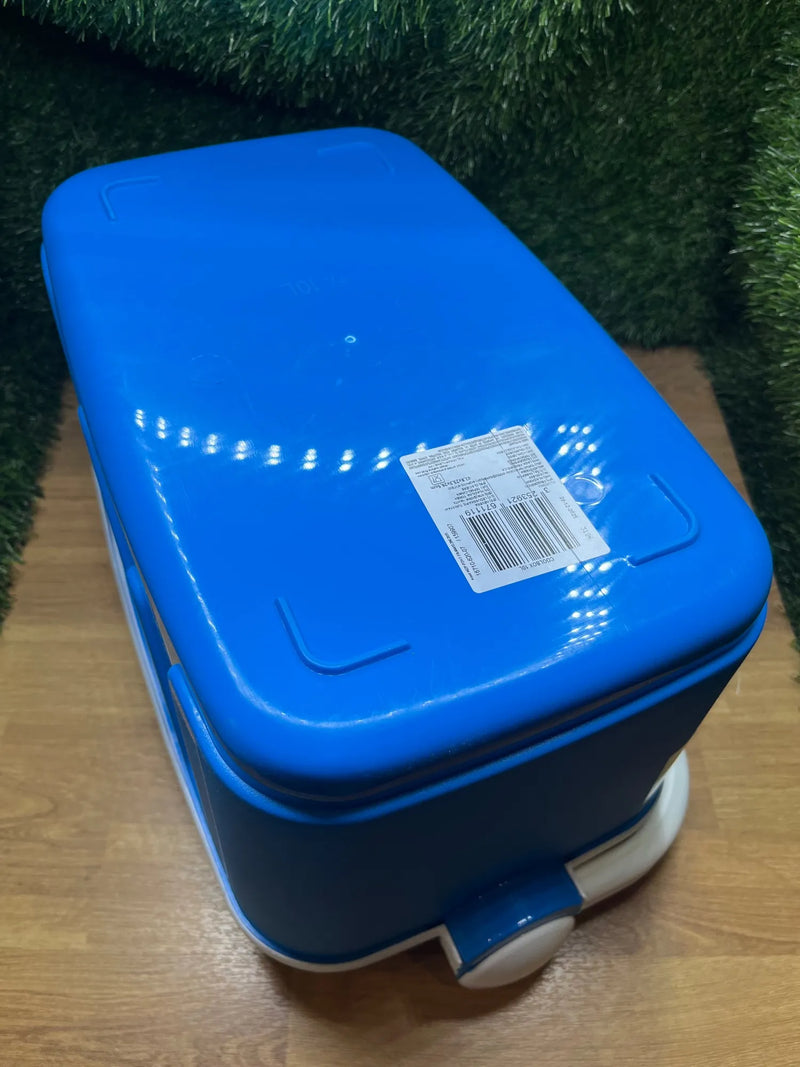 Nevera portátil con asa Curver