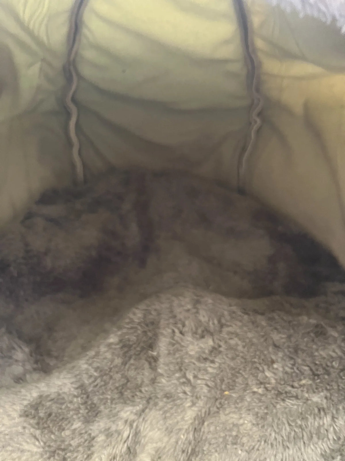 Cama para Gatos Mobiclinic