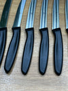 Juego de 6 cuchillos de cocina ZWILLING