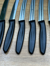 Juego de 6 cuchillos de cocina ZWILLING