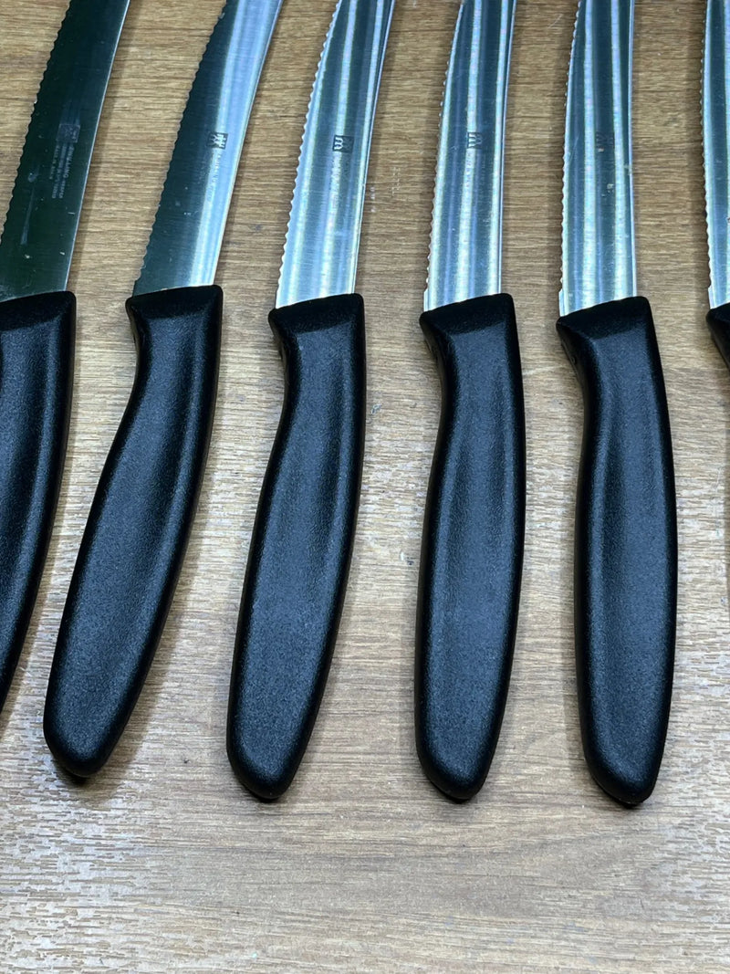 Juego de 6 cuchillos de cocina ZWILLING