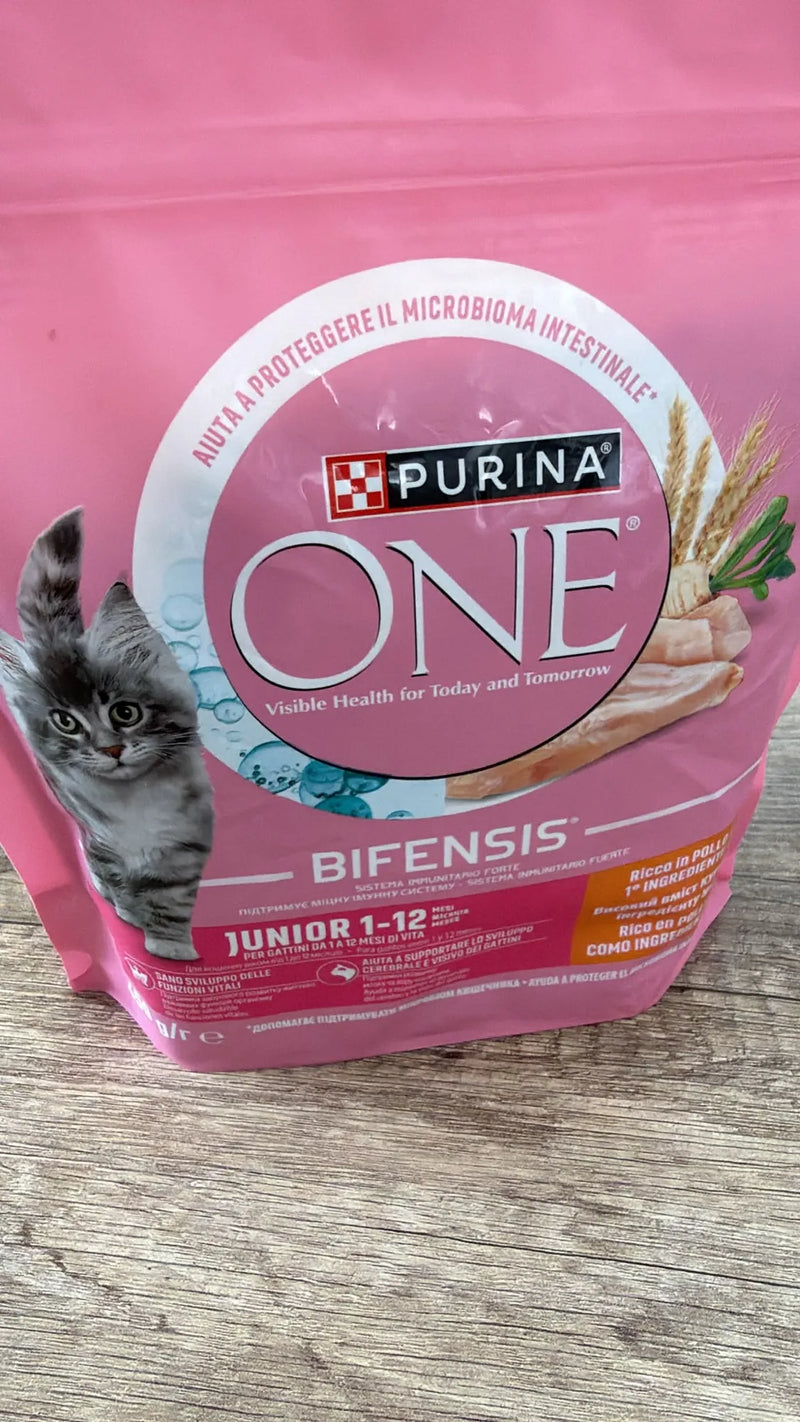 Comida Pienso para gato Junior Purina