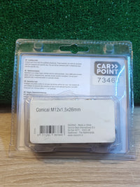 Tornillos antirrobo Carpoint