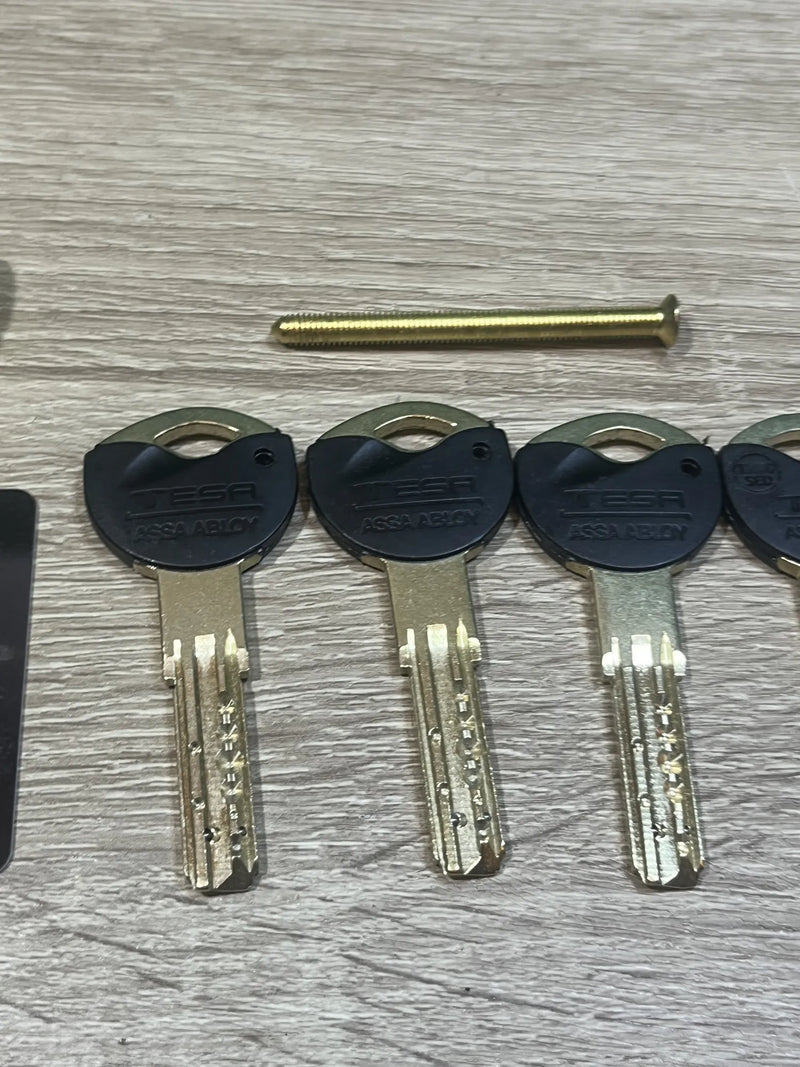 Cilindro de Alta Seguridad Tesa Assa Abloy