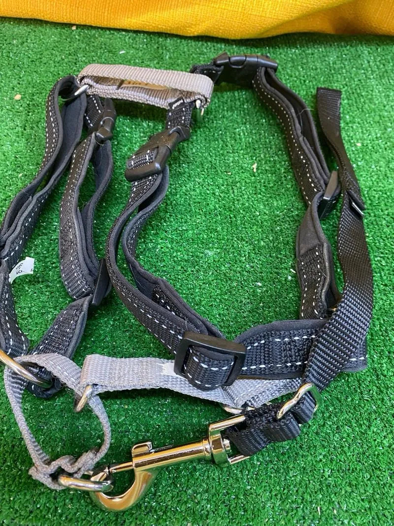 PetSafe 3 en 1, Arnés Antitirones para Perros