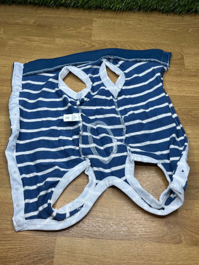 Traje de Recuperación para Perros
