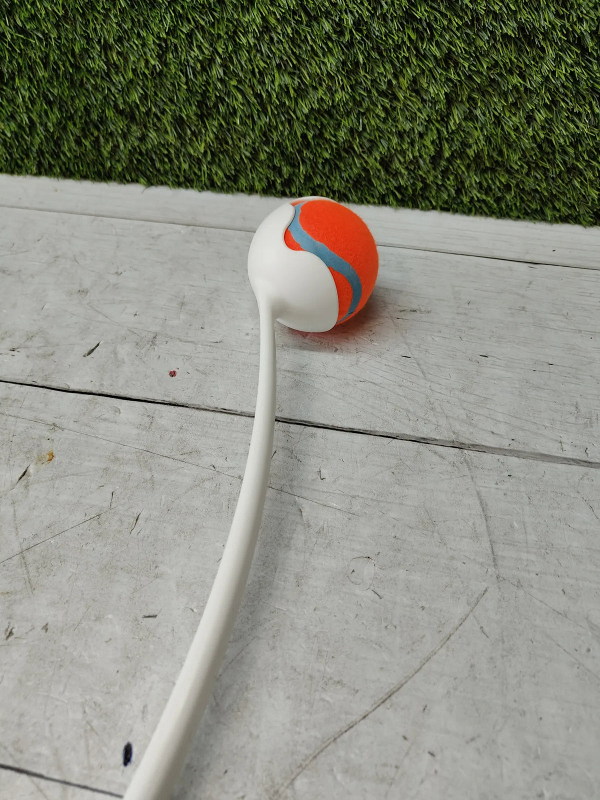 Lanzador de pelotas pro para perros