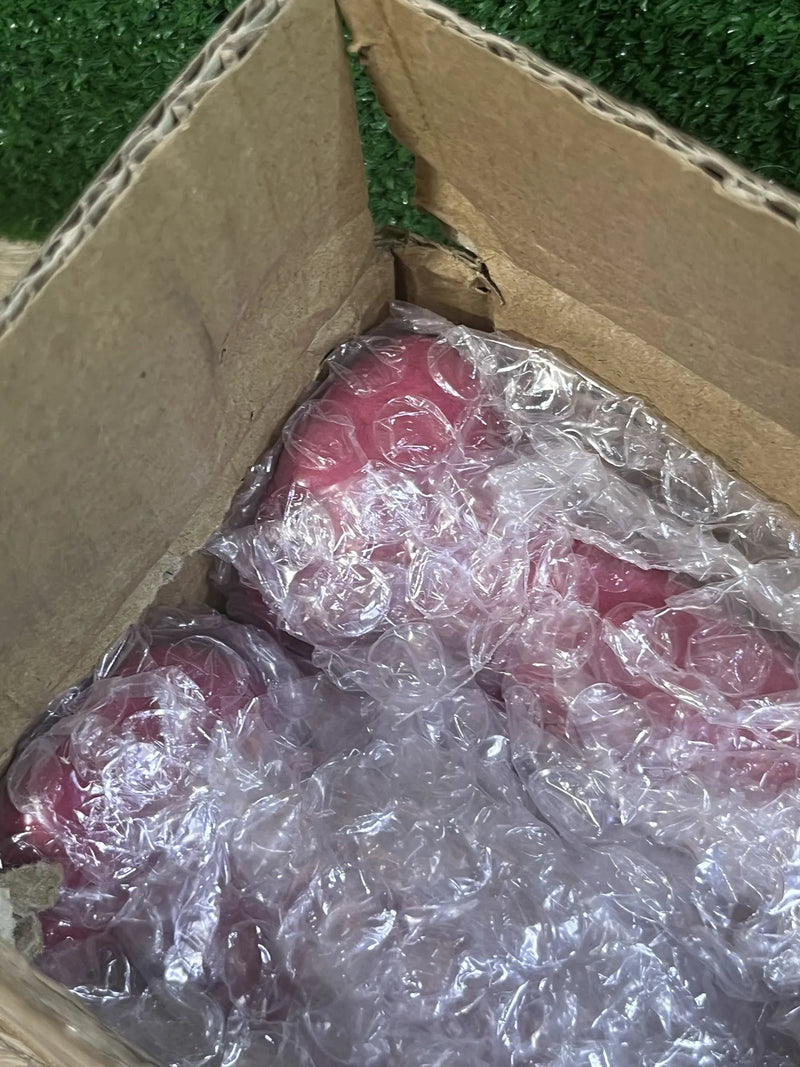 Juego de 2 mancuernas de 0,5KG SONGMICS