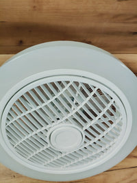 Ventilador de techo