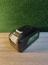 Batería y Cargador 24V Greenworks
