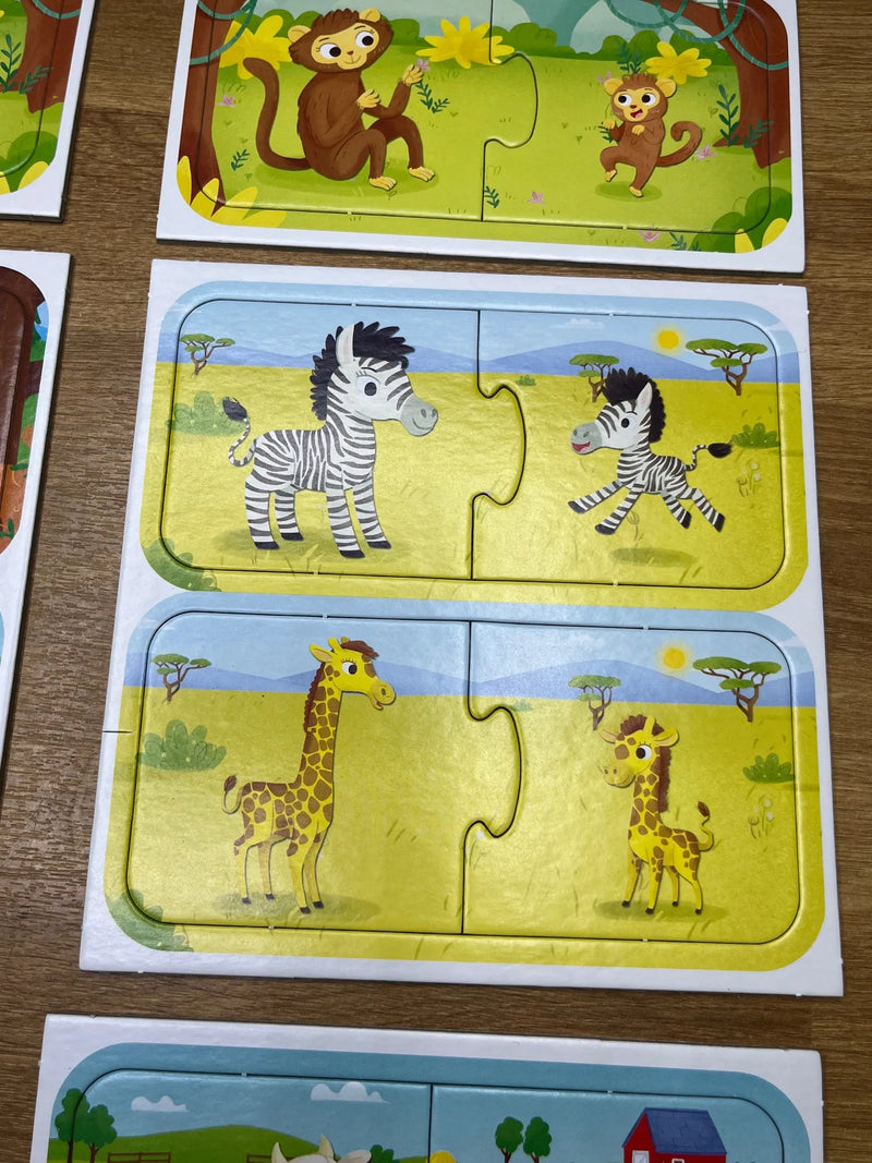 Juego de Lógica y Reflexión Lisciani
