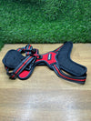 Arnes Perro Mediano con 3 Hebillas rabbitgoo