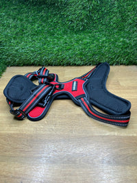 Arnes Perro Mediano con 3 Hebillas rabbitgoo