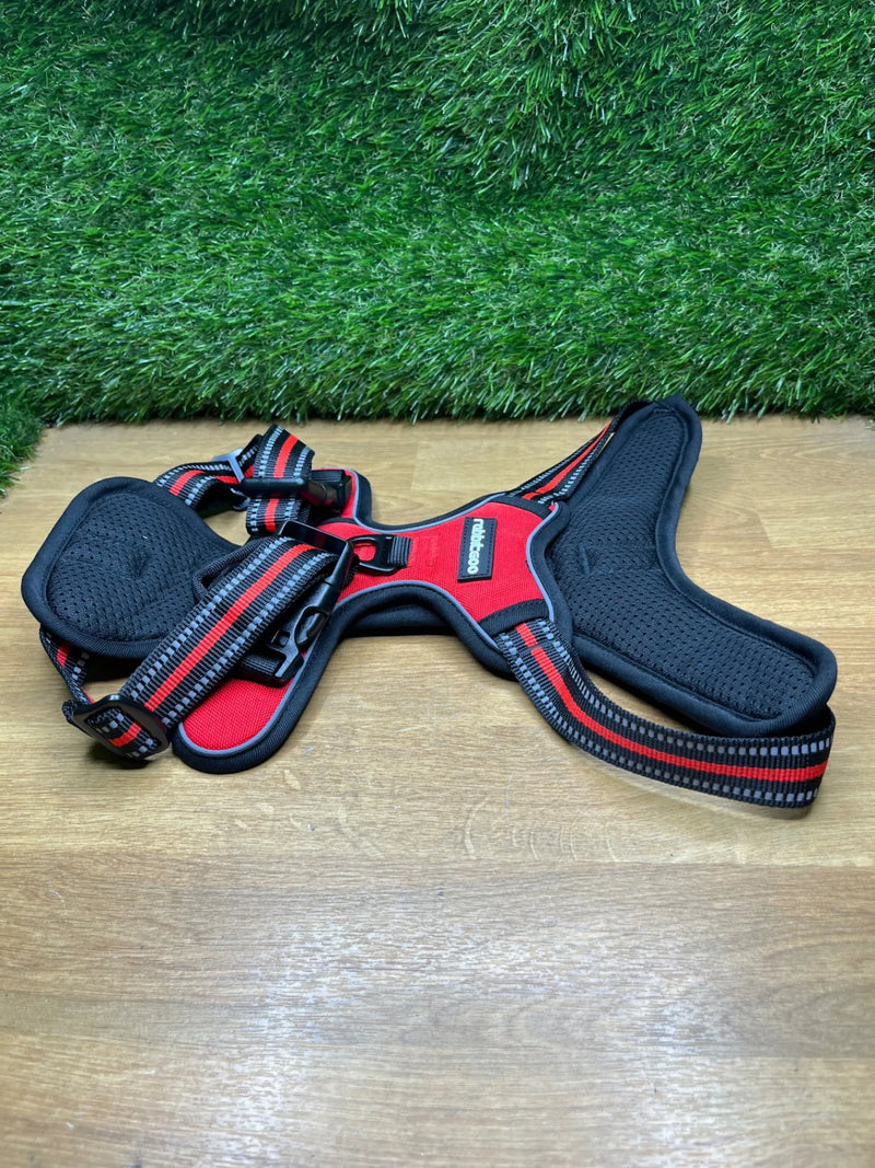 Arnes Perro Mediano con 3 Hebillas rabbitgoo