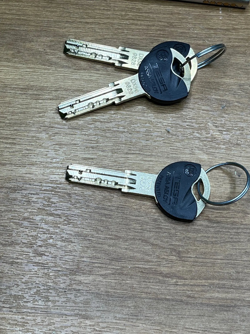 Cilindro de Alta Seguridad TX853060N Tesa Assa Abloy