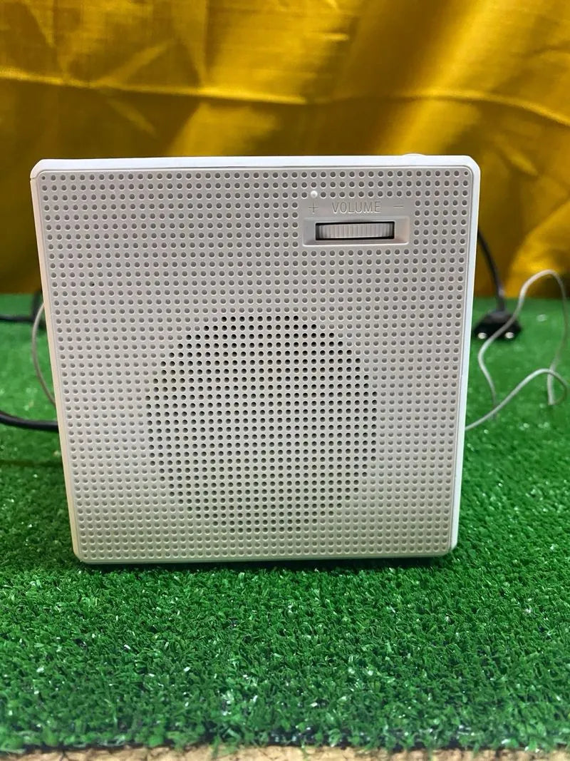 Sony ICF-C1