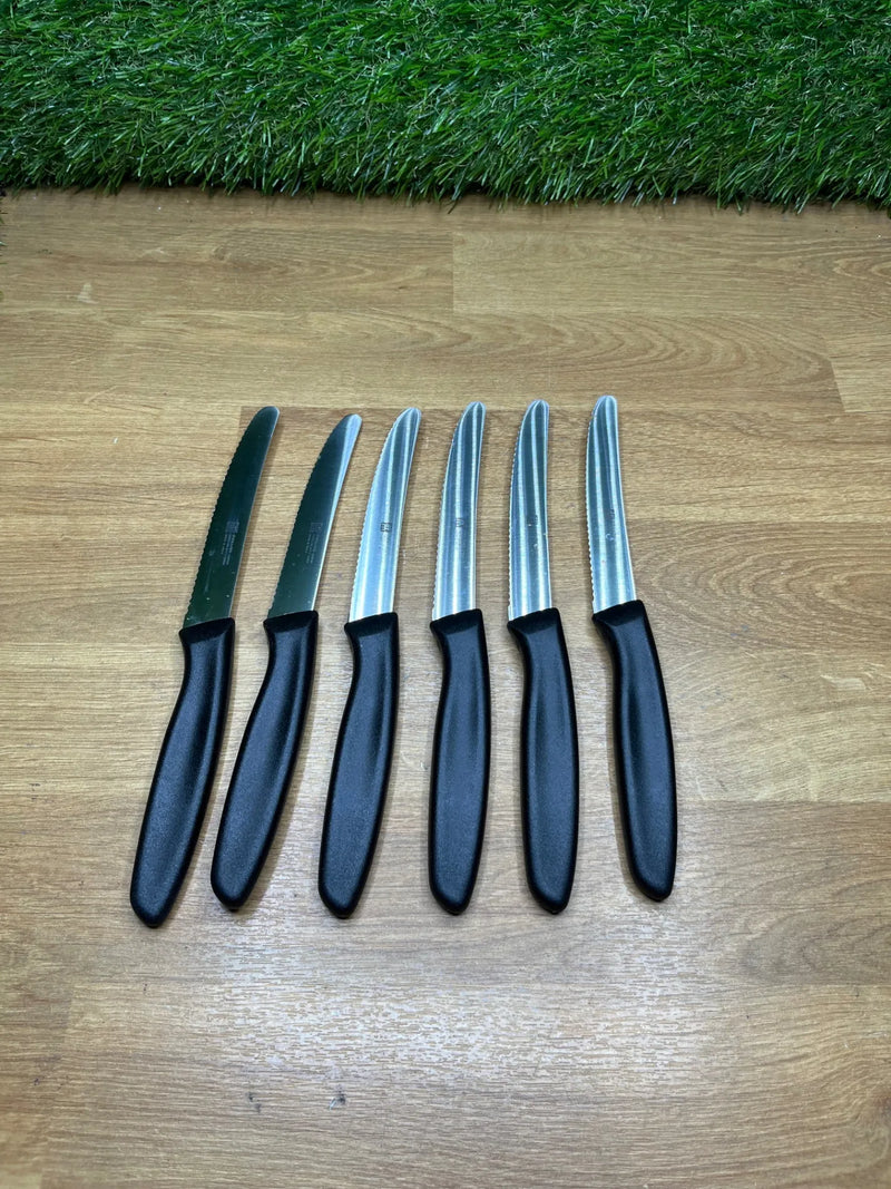 Juego de 6 cuchillos de cocina ZWILLING