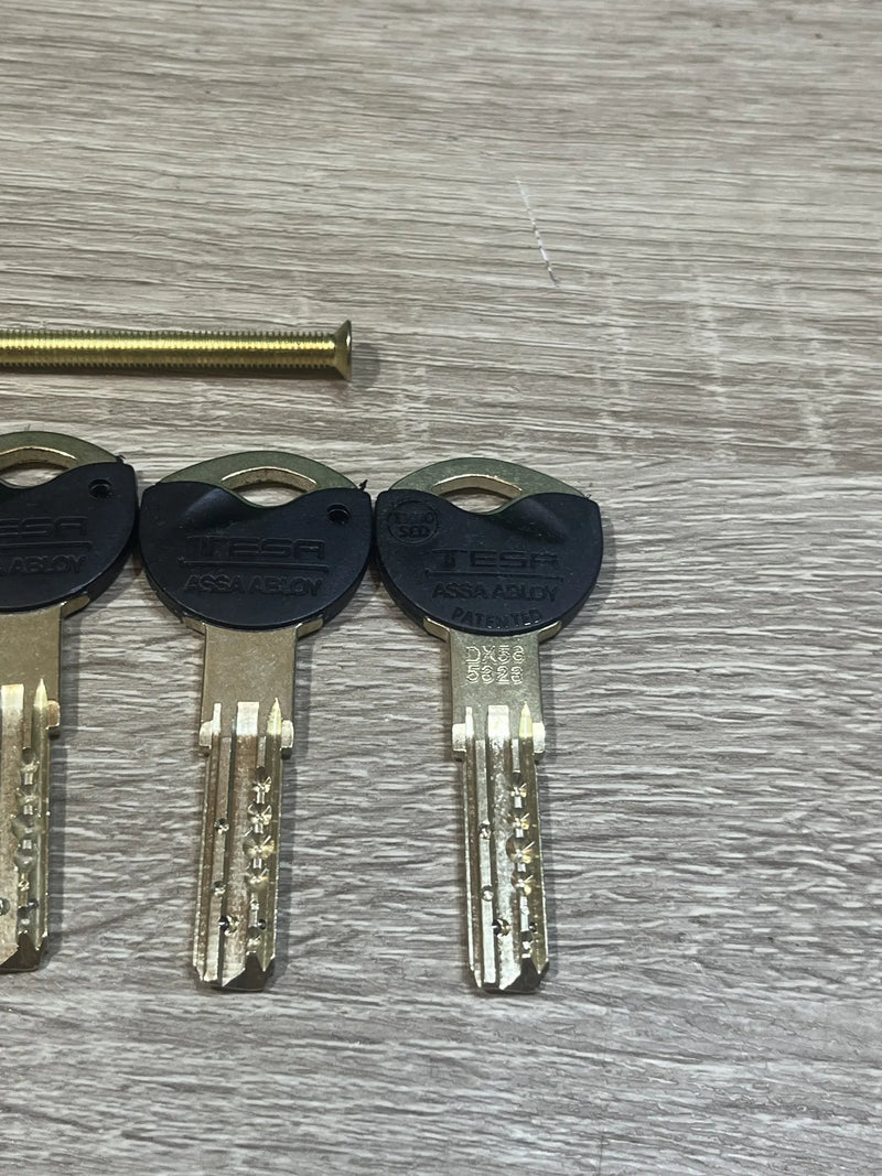 Cilindro de Alta Seguridad Tesa Assa Abloy