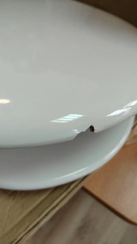 Tapa y asiento, Roca Victoria