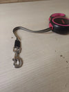 Correa de perro extensible retráctil - Edipets