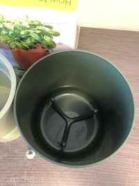 Maceta para cultivo