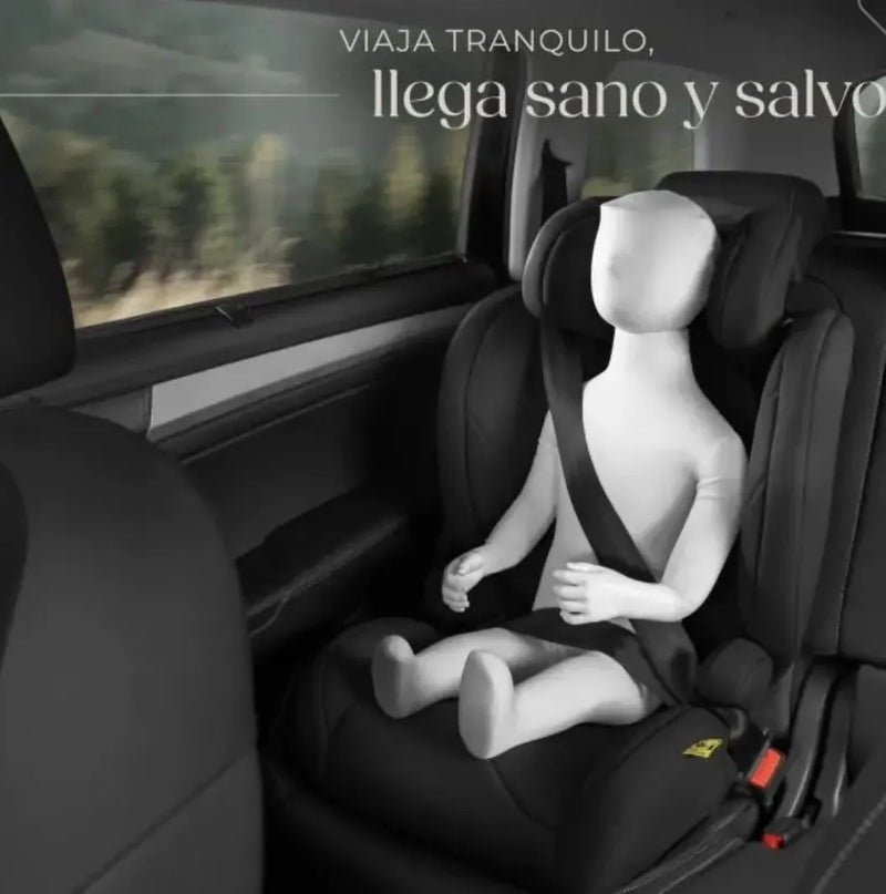 Silla de coche