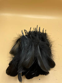 Plumas De Decoración, Piezas