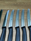 Juego de 6 cuchillos de cocina ZWILLING