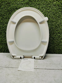 Asiento de Inodoro