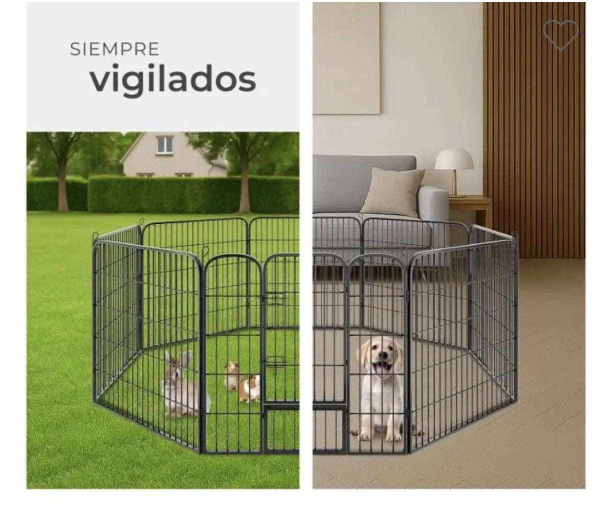 Parque para cachorros
