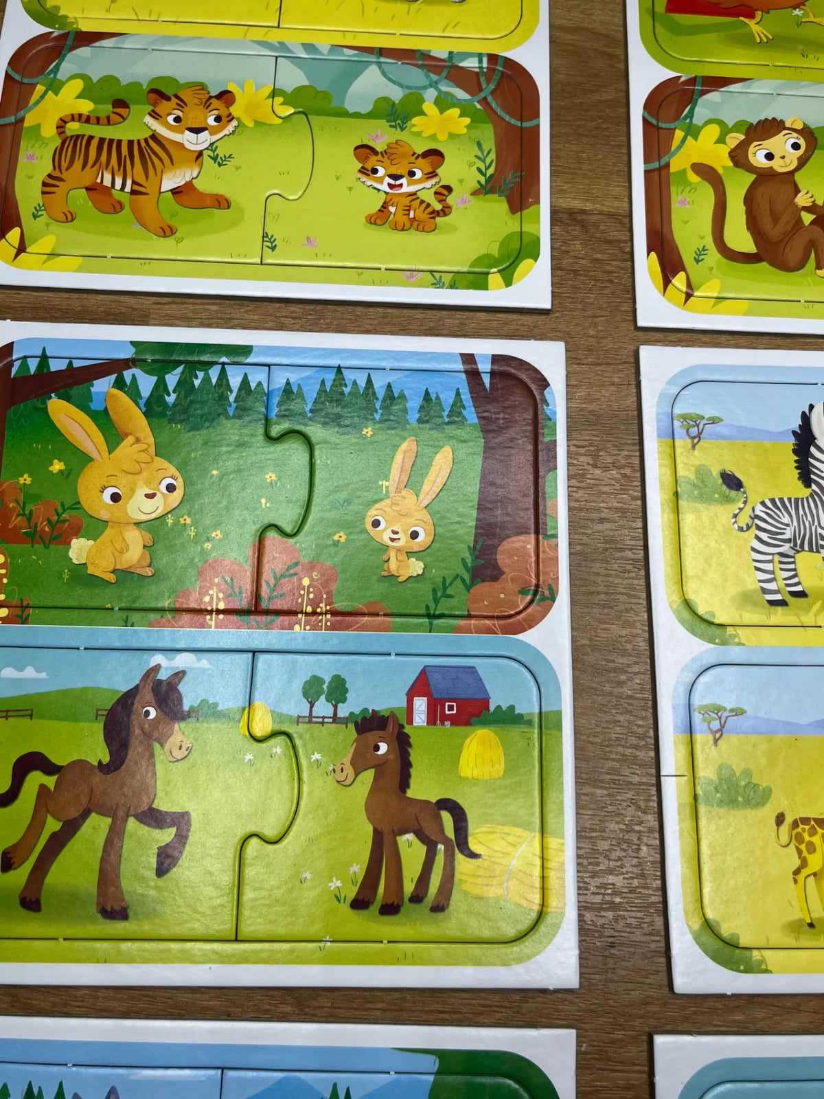 Juego de Lógica y Reflexión Lisciani