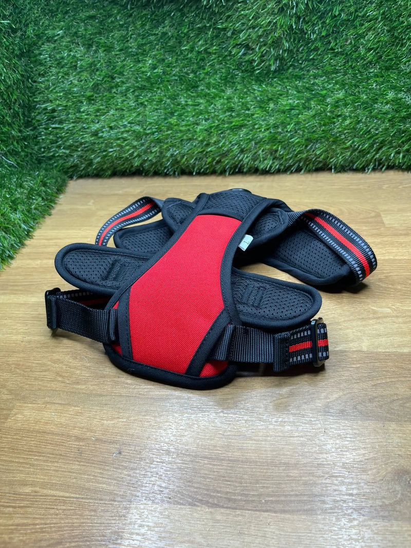Arnes Perro Mediano con 3 Hebillas rabbitgoo